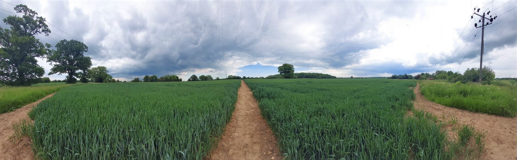 A panoramic photograph of a green field of long grass or wheat, lined with pylons, with a dramatic cloudy sky overhead